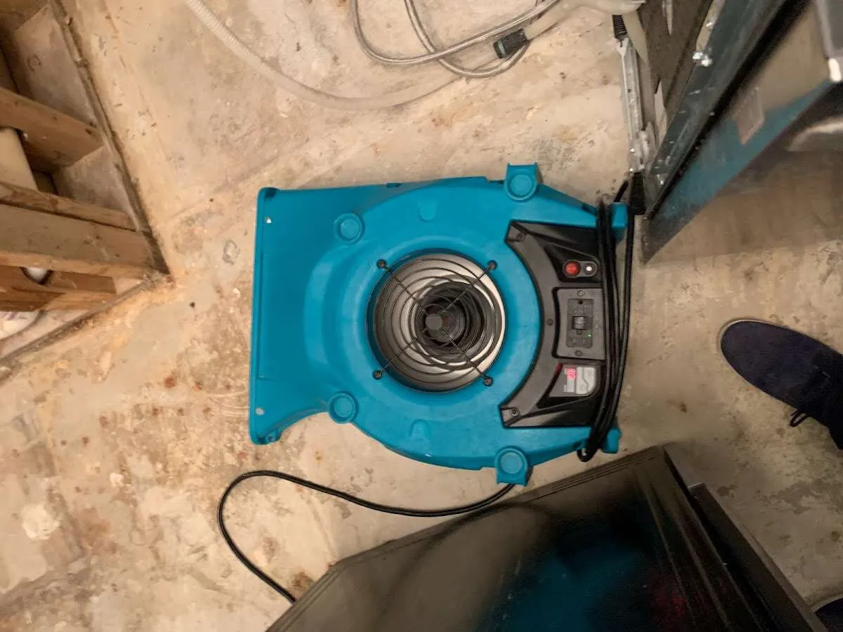 Air mover drying equipment for Mold Remediation & Removal in Duxbury